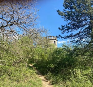 Sortie longue dans les Monts d'Or - Saint-Romain-au-Mont-d'Or - 2