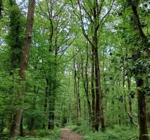 Petite balade autour de Firfol - Laurent - 2