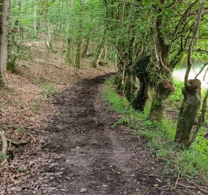 Petite balade autour de Firfol - Ouilly-du-Houley - 2