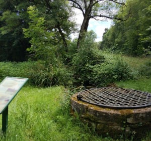 Ferme de Berle et alentours - Viviane - 3