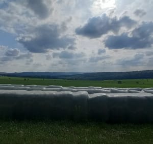 Les Bordes et ses environs - Montbard - 2