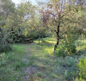 Balade en Garrigue par Roumire - Alicia - 4