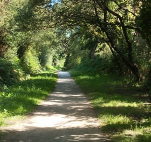 9 plages sur le Gr34 et sentier de tunnels forestiers - Pénestin - 2