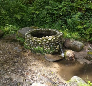 Source chaude à Vecoux - Dommartin-lès-Remiremont - 2