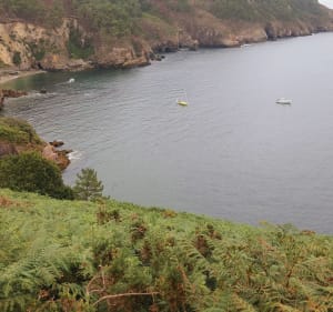 Boucle du cap de la Chèvre - Crozon - 2