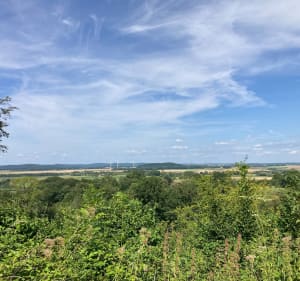 Balade en plein cœur du massif d’Argonne - Le Neufour - 4