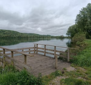 Autour des étangs à Beauchamps - Beauchamps - 2