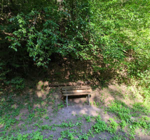 Boucle en forêt à Graufthal - Matthieu - 4