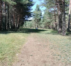 Petit tour dans la Forêt de la Matte. - Les Angles - 2