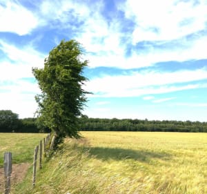 Balade de Vron à Moismont - Vron - 2