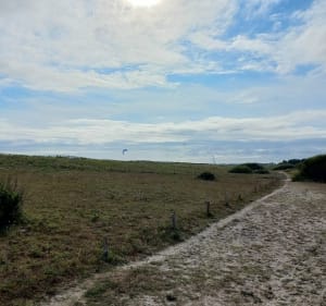 De Landrezac à Penvins par les chemins, retour par la dune - Sarzeau - 4