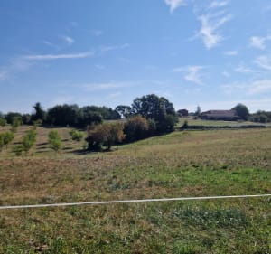 Entre Beaumont et le Grand Mayne - Beaumontois-en-Périgord - 2