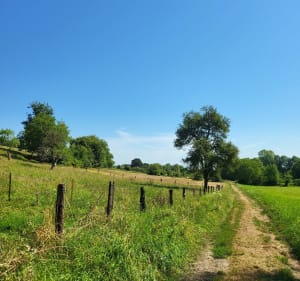 Haut de St Erme et Montaigu - LYDIE - 5