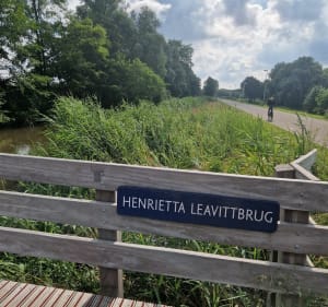 Amsterdamse wandeling rond het Flevopark - Amsterdam - 2