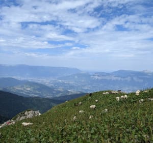 Panorama et lac depuis le refuge du Pré du Mollard jusqu'à la pointe de la Sitre - La Combe-de-Lancey - 2