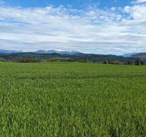 De Valencogne à Paladru - Valencogne - 2