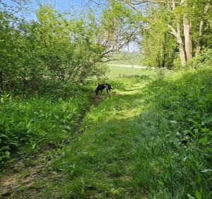 Balade dans la campagne de Thiergeville - Valmont - 2