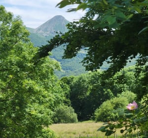 Cirque de Mandailles - Mandailles-Saint-Julien - 2