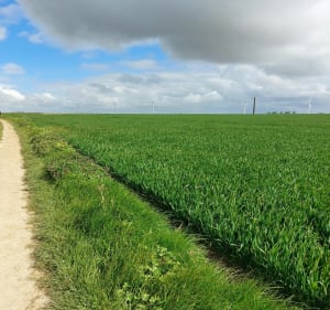 D'Andechy à Villers-lès-Roye - Annie - 2