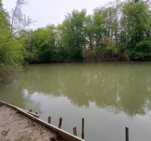 Balade sentier nature le long de l'Aisne, par Coucy - Rethel - 2