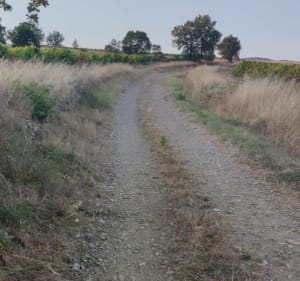 Tour des Mayolles par la Matte - Villegly - 2