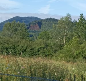 Verrières et Beaunit - Charbonnières-les-Varennes - 2