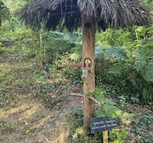 Autour de la commune de Rou Marson - Rou-Marson - 2