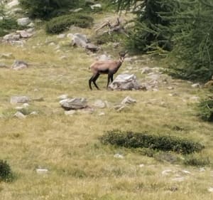 De St Grats aux lacs de Prals - Belvédère - 2