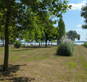 Entre estuaire et vignes - Saint-Julien-Beychevelle - 2
