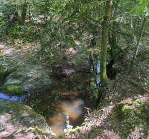 Balade autour de Talensac, par Bransahier - NICOLAS - 3