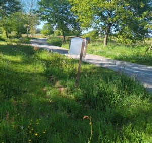 Balade autour de Talensac, par Bransahier - NICOLAS - 4