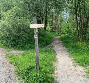 Balade pour se rafraîchir l’été à Saint-Jean-d'Aulps - PHILIPPE - 2