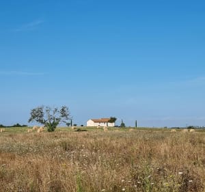Vérac et Cassagne - Vérac - 2