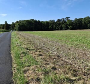 Forêt domaniale de Notre-Dame et château de LESIGNY à vélo - Boissy-Saint-Léger - 2
