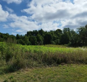 Montgeroult et ses chemins - Stéphane - 3