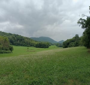 Randonnée en campagne et en forêt à Sauveterre de Comminges - Sauveterre-de-Comminges - 2