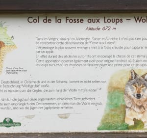 Randonnée sur les hauteurs de Murbach - François - 2