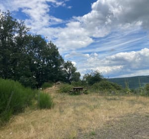 Randonnée sur les hauteurs de Murbach - Buhl - 2