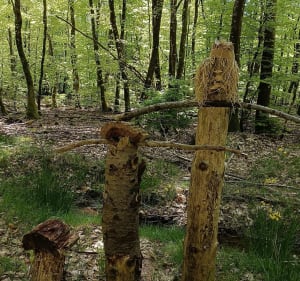 La Planoise - Monument Magnard - Antully - 2
