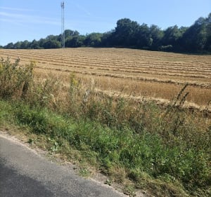 La route de Courtonne - Saint-Germain-la-Campagne - 2