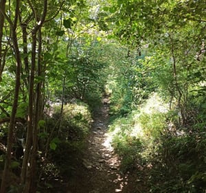Voyage au pays des Sucs - Yssingeaux - 2