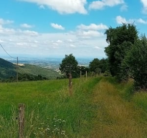 Balade dans les Monts du lyonnais de Messimy à Yzeron et retour - Messimy - 2