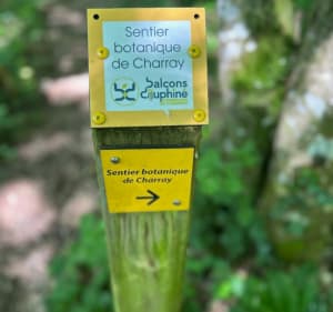 Le sentier botanique de Charray - Vézeronce-Curtin - 2