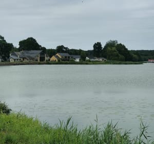 Étang Bazouge sous Hédé - Hédé-Bazouges - 2