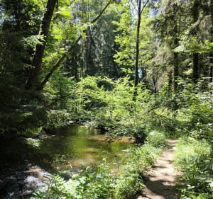 Les gorges de Villiers - Yohann - 3