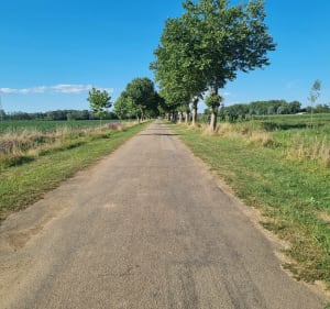 Bord de Saône et villages - Nicolas - 4
