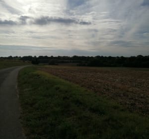 De Petit Chemin à Valloires - Dominois - 2