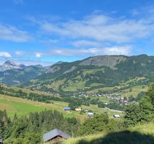 Chemin des contrebandiers au Ban rouge - Praz-sur-Arly - 2