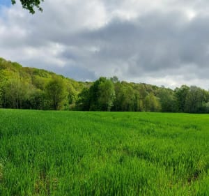Le chant du Caillou - Athis-Val-de-Rouvre - 3