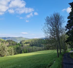Vue sur les sucs à Saint-Julien-Chapteuil - Saint-Julien-Chapteuil - 2